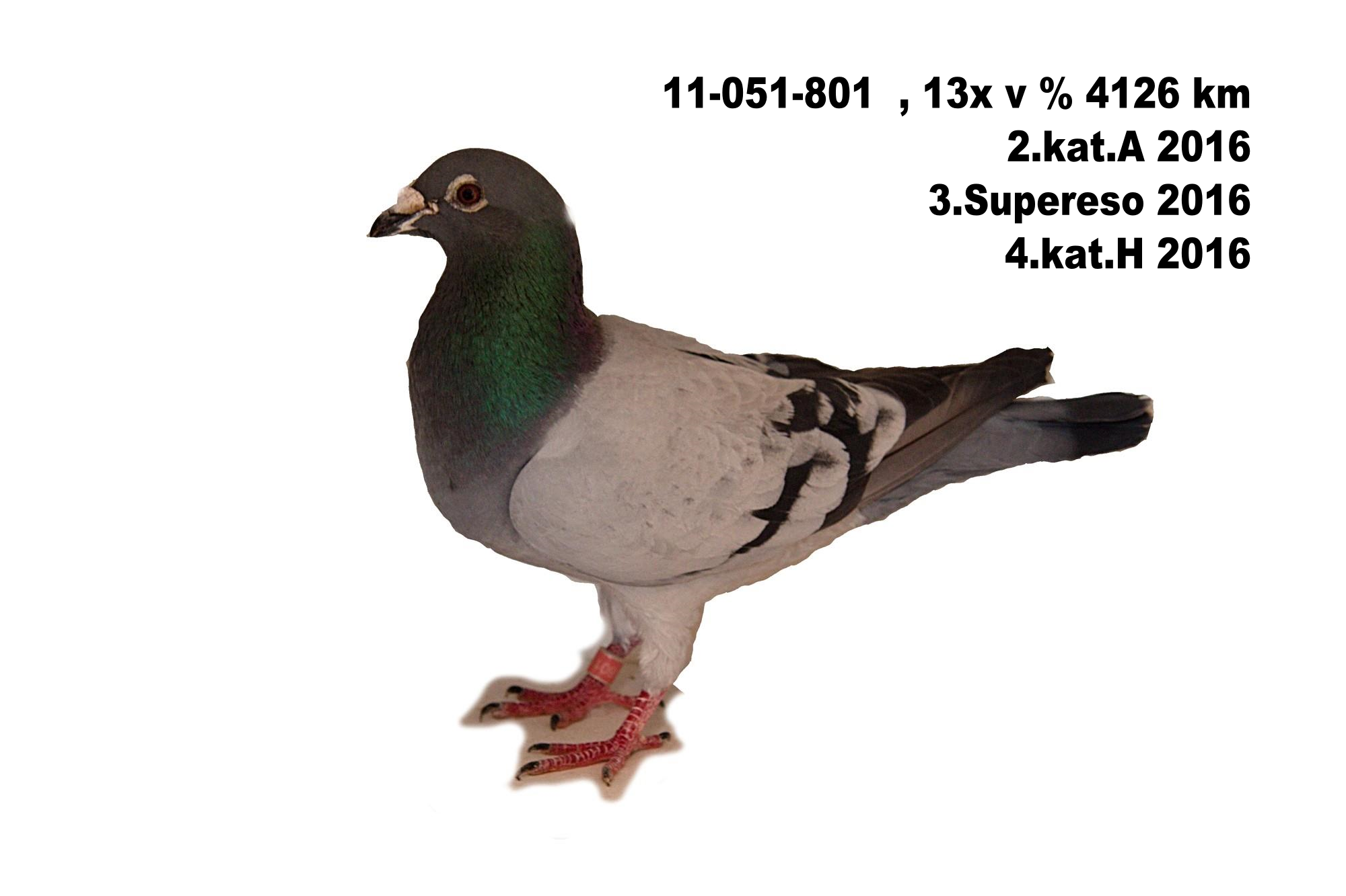 text3120