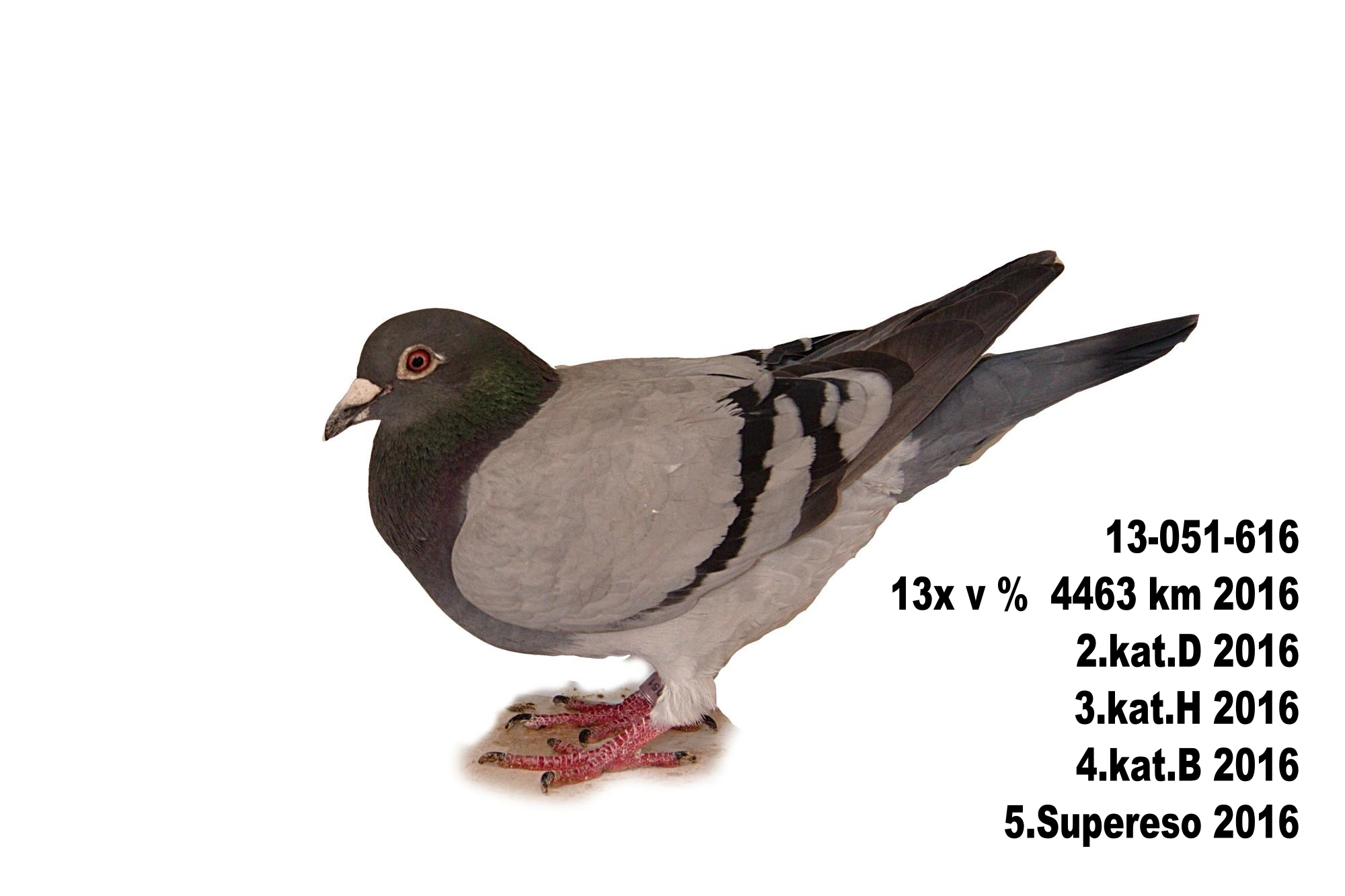 text3144