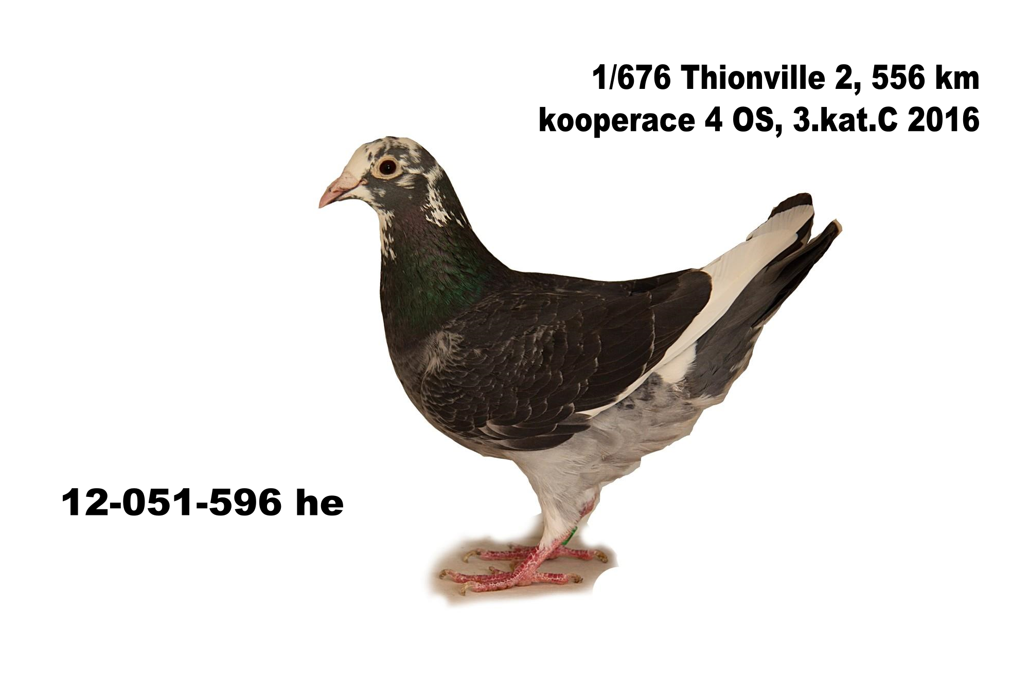 image3034