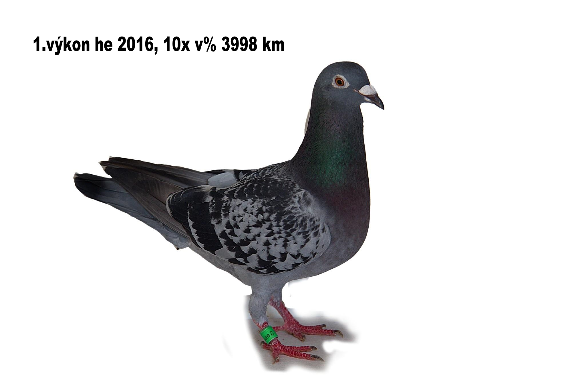 image3054