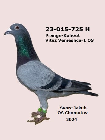 ---725 (1)Kopie