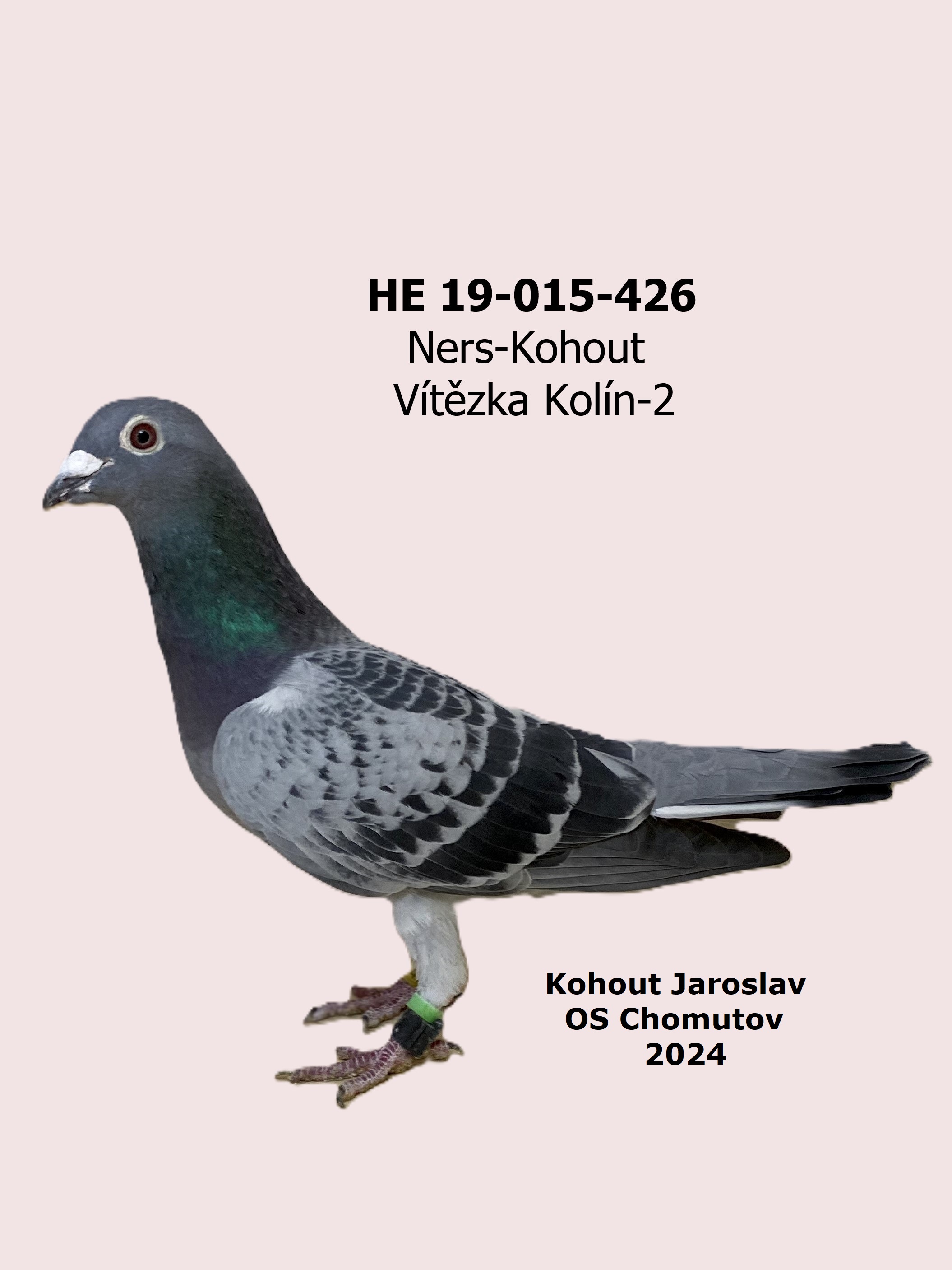 1171-426He