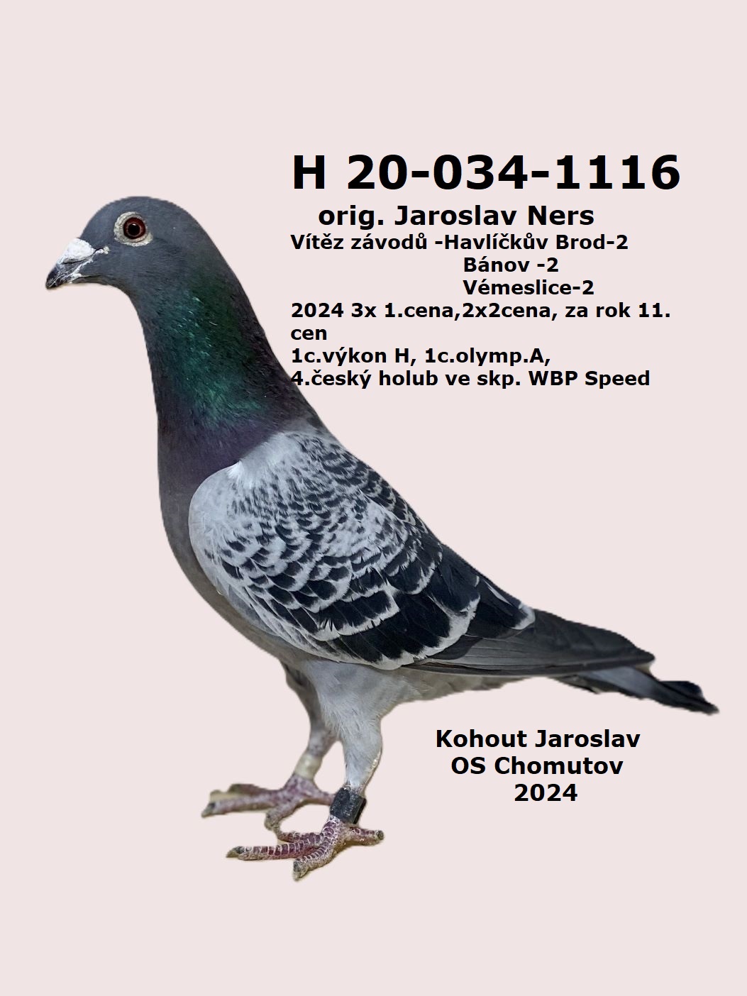1203-1116H